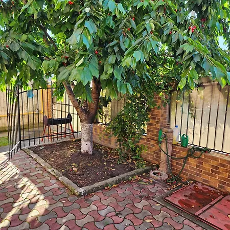 Prázdninový dům La Mare Casa Realis Ovidiu