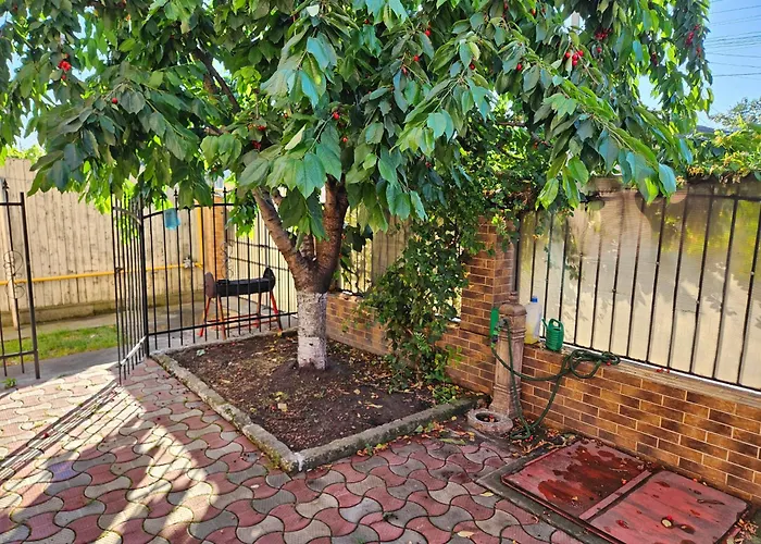 Tatil Evi La Mare Casa Realis Kanara